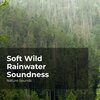 Sleep Sounds of Nature、Nature Sounds Nature Music、Nature Sounds - Chill Out in the Woods
