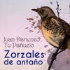 Orquesta de Juan DArienzo、Adolfo Avilés - El Amasijo