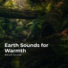 Sleep Sounds of Nature、Nature Sounds Nature Music、Nature Sounds - Enchanted Forest