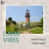 Calm Vibes《Martha's Vineyard》[MP3/LRC]