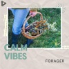 Calm Vibes《Forager》[MP3/LRC]