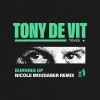 Tony De Vit、Nicole Moudaber《Burning Up (Nicole Moudaber Remix)》[MP3/LRC]