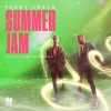 toni cottura、Shahin Moshirian、Stephan Browarczyk、Craig Scott Smart、Teddy Cream、Vick Krishna、NIC、Bolinger、Christoph Bruex《Summer Jam (Basti M & Bolinger Remix)》[MP3/LRC]