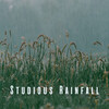 Golden Drops、Ambient Nature White Noise、The Studying Music Network - Raindrops of Focus
