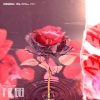 Key、Diary Music - If We Never