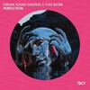 DREAM SOUND MASTERS、Tom Skobe - Perfection