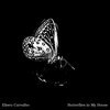 Eliseu Carvalho、Eliseu Cendron Carvalho - Butterflies in My House