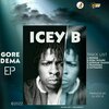 Icey B - Power