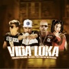 Fernando Problema、MC Pipokinha、Pietro Mc、Mc dodo dono da situação - Vida Loka (Explicit)