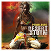 Penhilburg - Desert Storm