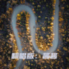 酱酱 - 情歌