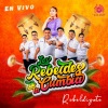 Los rebeldes de la cumbia、TEODOMIRO SALAZAR、Jaime Moreyra、Felipe Zarate - El Aguajal / Qué Pena / La Novia (En Vivo)