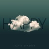 David Shannon - HAPPY