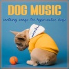 Dog Music Therapy、Dog Music Dreams、Dog Music《Canine Symphony》[MP3/LRC]