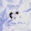 GoyChow - NONclean