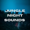 Nature's Symphony《Jungle Night Sounds》[MP3/LRC]