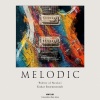 Guitar Instrumentals、The Sleepy Guitar、Soft Guitar Music - Beautiful Promise
