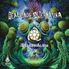 Selassi Alien、Lucas Baruffi - Area 53