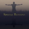 Vincent & A Secret、Stanley Roth、Lucy Atkinsons - Special Blessing
