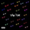 Pier - Why Not (Explicit)