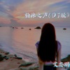 艾志鹏 - 柏林之声 (DJ版)