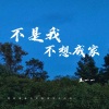王一一 - 不是我不想成家