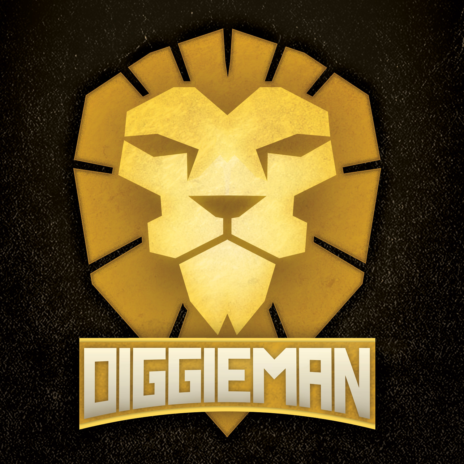 Diggieman - Soul A Reggae