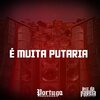 MC Malvadão、DJ LD de Realengo - É MUITA PUTARIA (Explicit)