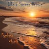 Fyebass Muzik - Like a Summer Breeze