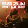 Ynk、ilei、totzillar - Bis zum Frühling (ilei Remix|Explicit)