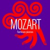 Marco Boni、Concertgebouw Chamber Orchestra - I. Allegro