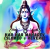 Koushik Mahata - Har Har Mahadev (Slowed + Reverb)