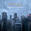 Regengeräusche、Regen Sounds、Berlin Rain - Roboterregen und fliegende Träume