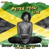 peter tosh - 400 Years (Live)