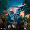 Mishø、Joan Ember、George Cooksey - Butterflies