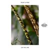 Peznt、Piem - On The Line
