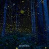 K E T N E L - Beginning