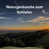 Naturgeräusche、Waldgeräusche、Heilende Geräusche Der Natur Academie - Naturgeräusche zum Schlafen, Pt. 1