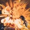 Velvet Dreamer - Just A Morning Kiss