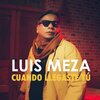 Luis Meza - Cuando Llegaste Tú