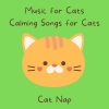 cat nap - Catnap Serenity