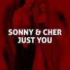 Sonny & Cher - You’ve Really Got a Hold on Me