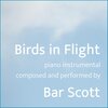 Bar Scott - Birds in Flight