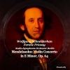 radio-symphonie-orchester berlin、ferenc fricsay、wolfgang schneiderhan - I. Allegro molto appasionato
