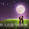 追梦、花语 - 昨天的情今夜的梦