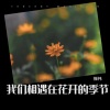 振祎 - 我们相遇在花开的季节 (DJ苏平版)