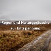 Waldgeräusche、Heilende Geräusche Der Natur Academie、Naturgeräusche - Ein Fenster zur Welt