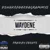 Dsnake Fooeda Grammys《Waydene (Explicit)》[MP3/LRC]