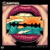 Sinaptika - California Dreamin'