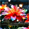 Marley Hughes、Rich Towers、victor crain - Luminous Bloom (Victor Crain Remix)